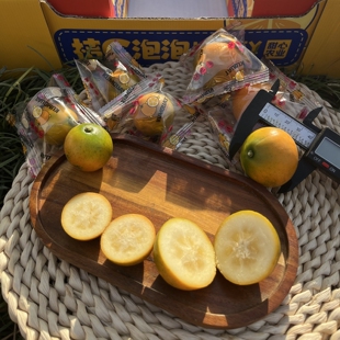 甜心农业贝壳融安脆皮金桔第三代桔 C 泡泡大果独立包装礼盒顺丰