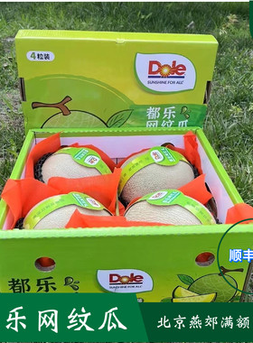 Dole都乐网纹蜜瓜日本玫珑品种