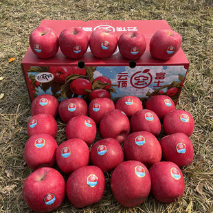 云顶红富士静宁红富士苹果全红脆甜多汁鉴赏型顺丰快递