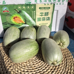 新品种蜜柒柒牛奶脆宝蜜瓜蜜源18号酥脆香甜香瓜顺丰快递