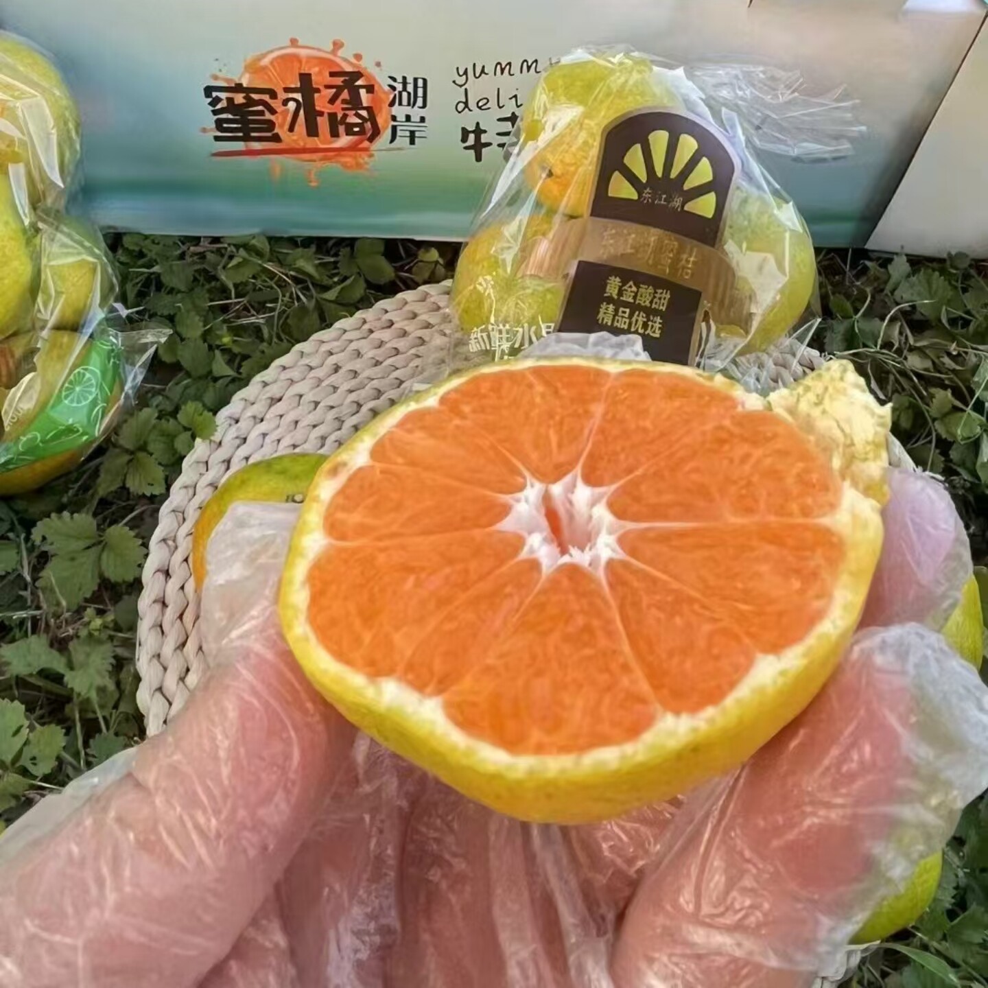 湖南郴州东江湖蜜桔橘江湖橘子袋装高甜爆汁当季新鲜水果顺丰快递