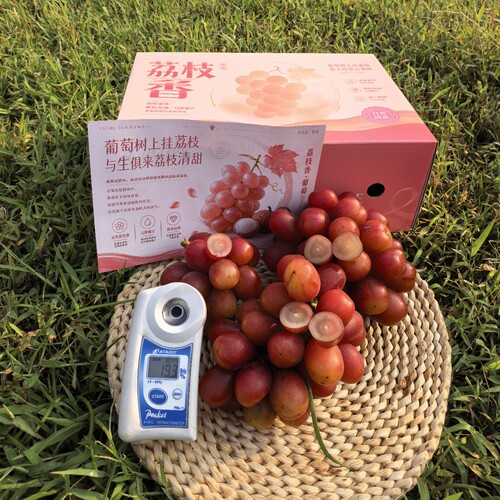 荔枝香葡萄罗拉玫瑰水果礼盒顺丰