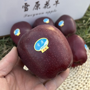 雪原花牛苹果正宗甘肃天水蛇皮果宝宝婴儿辅食粉面圣诞平安果顺丰