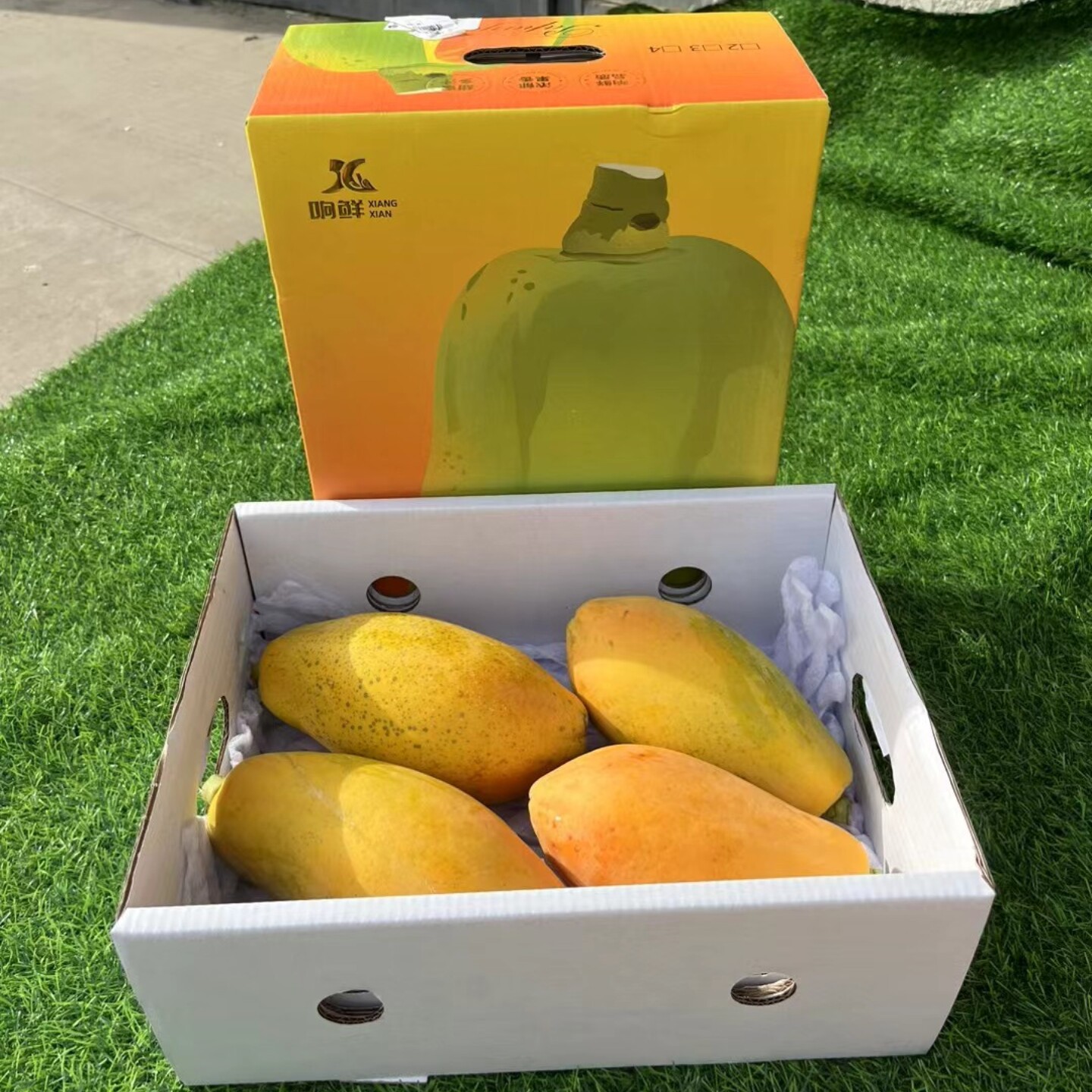 响鲜牛奶木瓜纯树熟果即食香味十足2-5颗装随机发5斤新鲜水果顺丰
