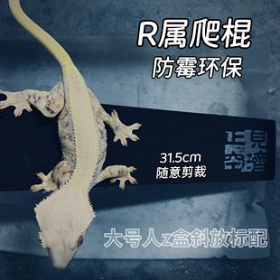 31.5cm几根原创大号爬棍 爬房自用环保可循环水洗躲避数栖守宫