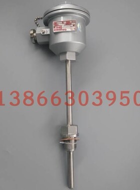 煤矿用本质安全型铂电阻wzpk-24bi150电阻