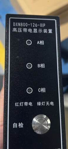 DXN800-126-IIIP 高压带电显示装置 电力系统专用
