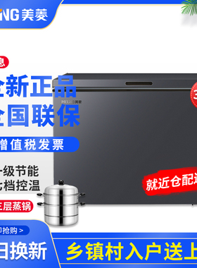 MeiLing/美菱 BC/BD-301DT单温冷藏冷冻节能大容量家商用冷柜卧式
