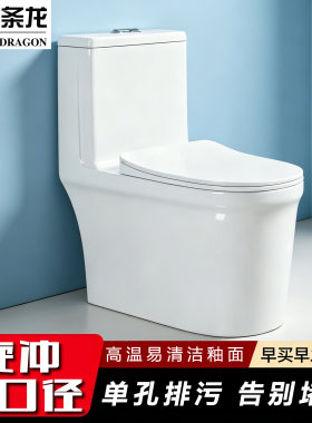 九条龙卫浴家用节水陶瓷一体式坐便器