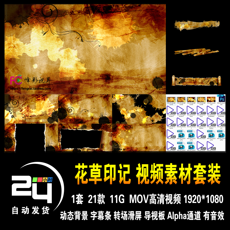 花草印记沧桑涂鸦生长花怀旧复古历史时间 动态背景高清视频素材