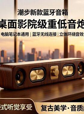 德国柏林之音旗舰新款木质无线蓝牙音箱木长条插卡桌面音响收音机