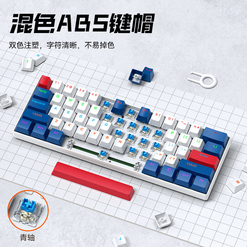 雷狼键盘机械键盘有线游戏办公热插拔61键键线分离小键盘青轴T60