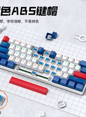 雷狼键盘机械键盘有线游戏办公热插拔61键键线分离小键盘青轴T60