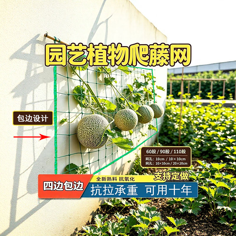 订做包边网爬藤网菊花防风定型网