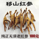 移山红参林下红参半野生红参人参林下参移山参无须红参棒100克装