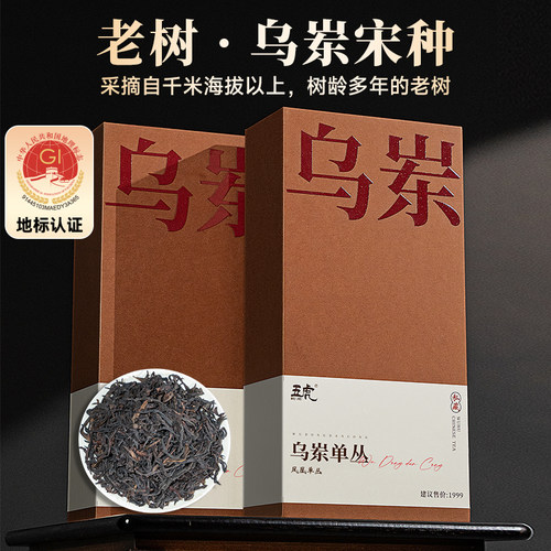 五虎正宗潮州乌岽单枞
