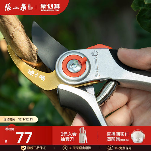 张小泉剪刀修枝剪果树剪花园林剪