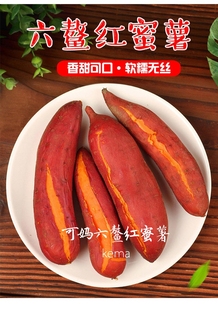 福建漳浦六鳌地瓜沙地红蜜薯中小果5斤装 25个左右坏果包赔 包邮