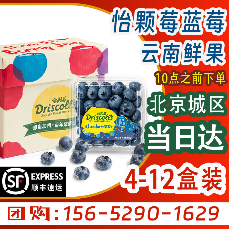 怡颗莓【云南当季】蓝莓 Jumbo超大果国产蓝莓 新鲜水果125g*6盒