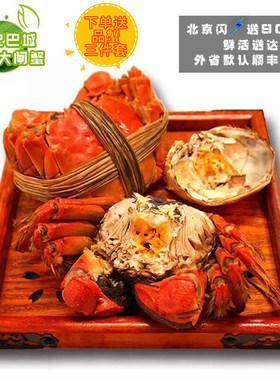 大闸蟹鲜活大闸蟹顺丰包邮