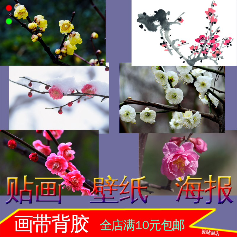 梅花树枝花卉植物雪中寒梅照片海报宿舍客厅装饰画墙贴画壁挂画图片