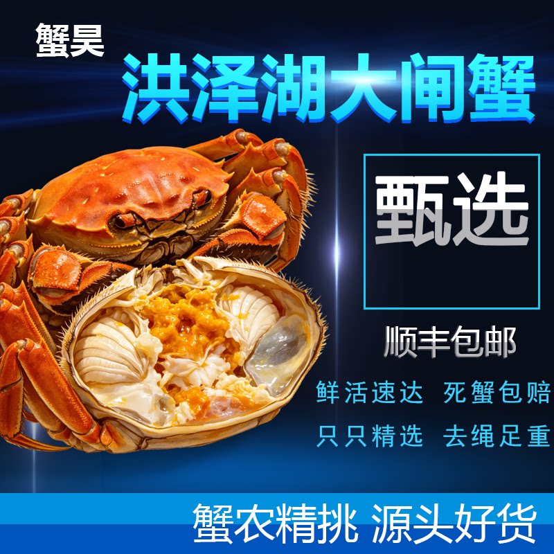 【活蟹】蟹昊特惠鲜活大闸蟹去绳足重公蟹母蟹2两3两礼盒顺丰包邮