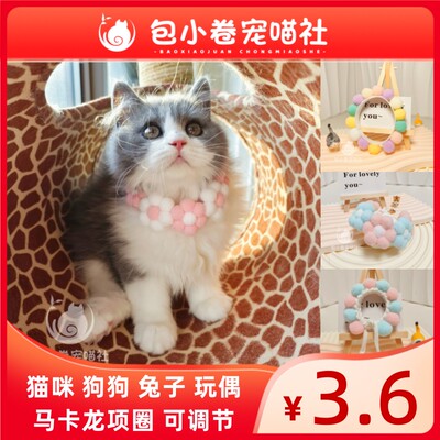 猫咪狗狗兔子玩偶项圈