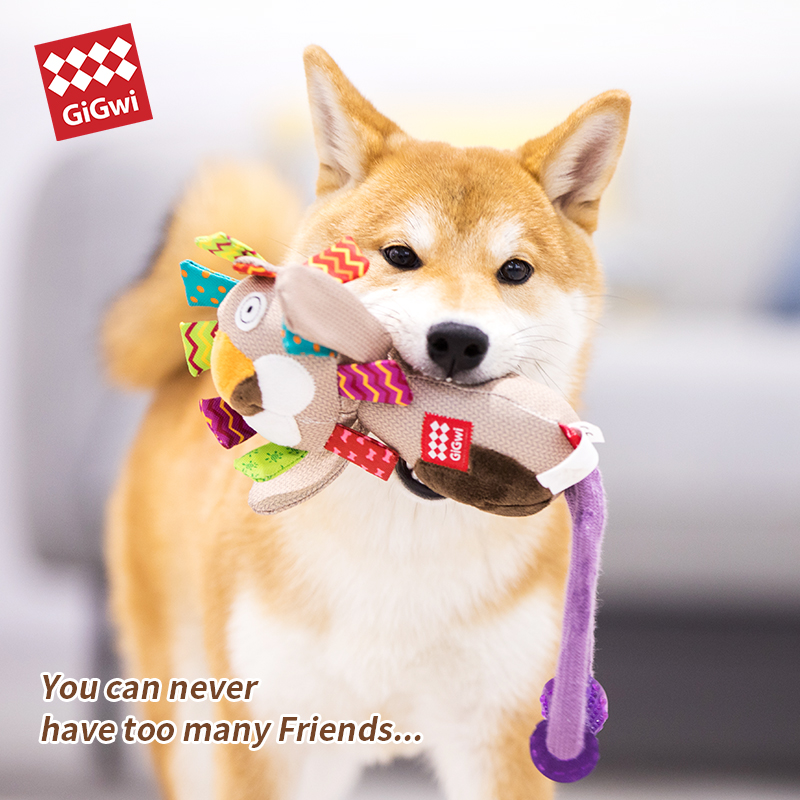 GiGwi贵为狗狗拉环拔河玩具
