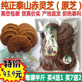 半斤装 泰山灵芝泰山赤灵芝每朵都带孢子粉新灵芝 19年老店 买4送1