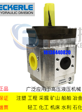 原装德国ECKERLE艾可勒齿轮泵EIPC3-040RA/RK23-10高压伺服液压泵