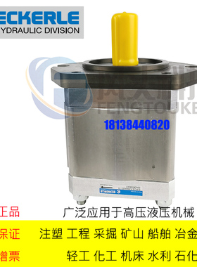 原装德国ECKERLE艾可勒齿轮泵 EIPC6-200RK23-10注塑机伺服齿轮泵