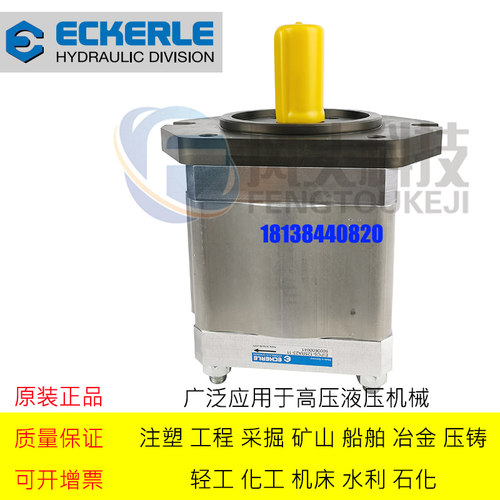 原装德国ECKERLE艾可勒齿轮泵 EIPC6-250RK23-10注塑机伺服齿轮泵
