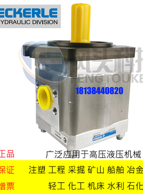 原装德国ECKERLE艾可勒齿轮泵 EIPC6-125RA23-10注塑机伺服齿轮泵