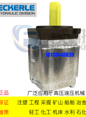 原装德国ECKERLE艾可勒齿轮泵 EIPC3-025RK23-10注塑机伺服齿轮泵