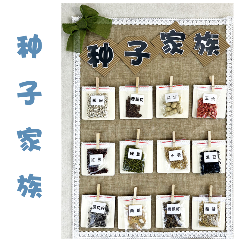 幼儿园教室创意黑板报环创装饰材料区域区角认识种子博物馆主题墙