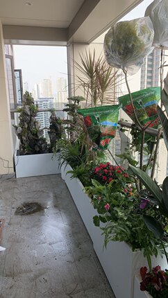 成都假山园林设计施工 庭院景观 花境绿植设计种植 锦鲤鱼池假山