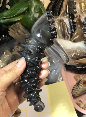 天然牛角按摩梳一物一拍海参黑金刚