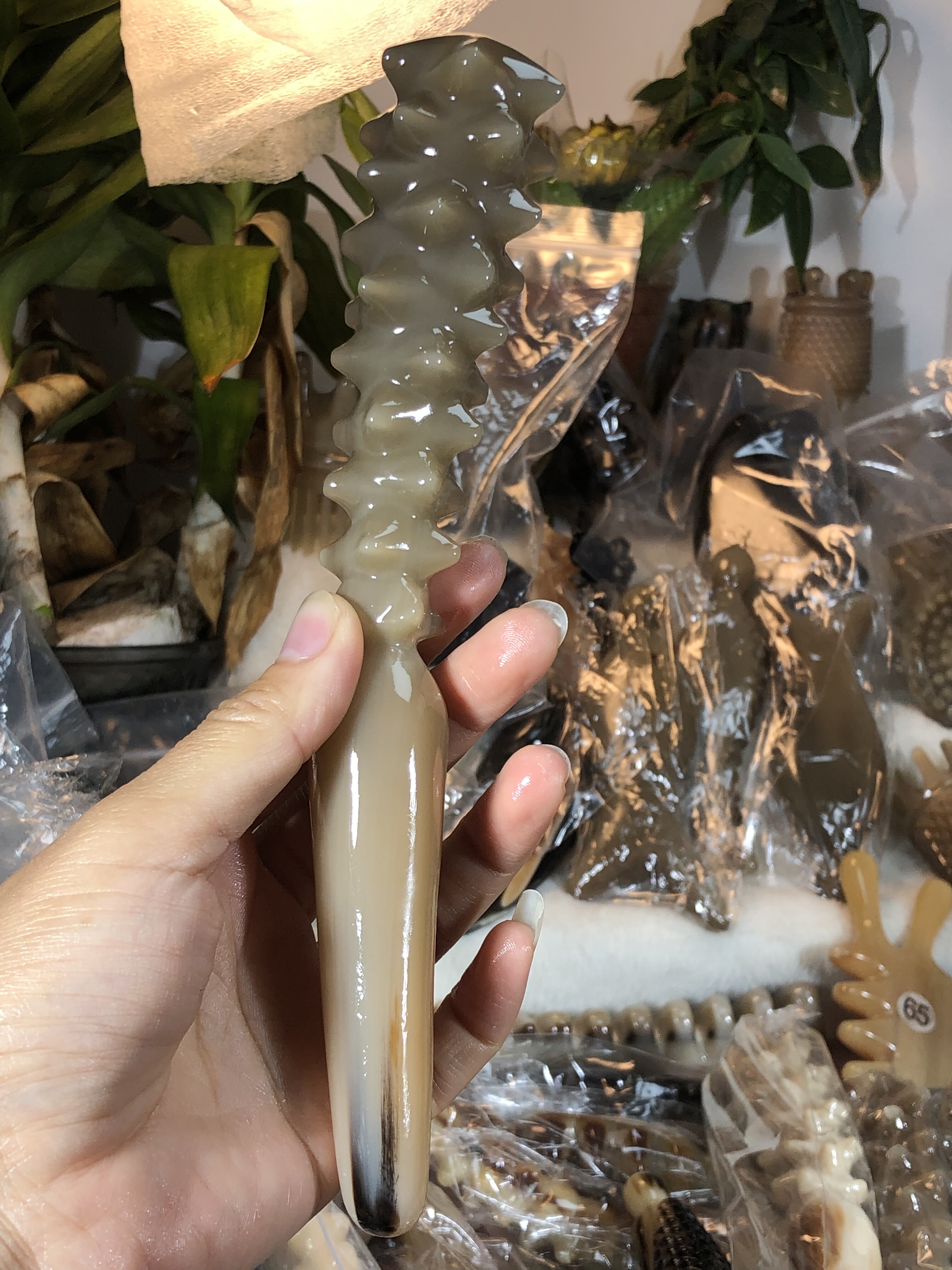 天然水海参按摩狗全身通用刮痧经络棒拨筋棒穴位一物一拍