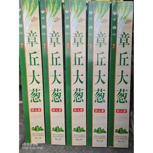 章丘大葱葱王带全叶山东新鲜疏菜大葱葱王人高的大葱脆甜生吃蘸酱