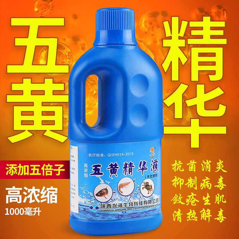 水产养殖专用五倍子五黄精华液中草泼洒液五黄粉精华素