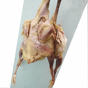 农村土老鸡(2斤左右/每只) 安徽特产风干咸鸡无为仓头咸货