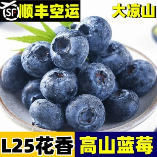 大凉山高山蓝莓鲜果当季 蓝莓高山L25花香新鲜水果现摘整箱顺丰