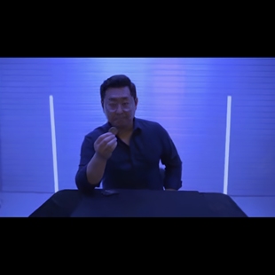 Pinpoint 魔术教学 2025 17部硬币技巧 视觉化多种手法纯干货