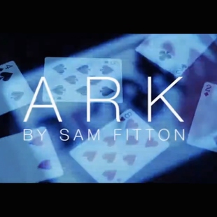魔术教学 2024超强纸牌匹配Ark by Sam Fitton 巧思妙想手法 超值