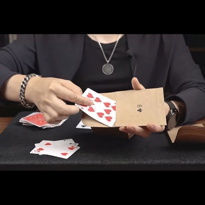 魔术教学 2025中文创意信封预言Schrodingers 超准确纸牌匹配超值