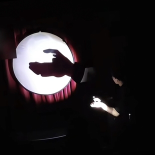 2025 大师级 舞台效果年会必备 影之语 讲解 王熙文 魔术教学