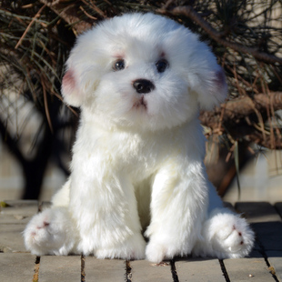 仿真马尔济斯毛绒玩具白色长毛绒狗狗玩偶布娃娃女生儿童节日礼物