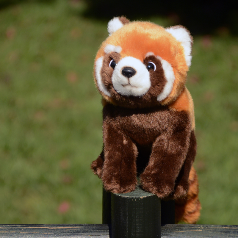 可爱棕色小浣熊毛绒公仔仿真玩偶