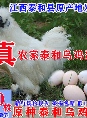 江西正宗原种泰和乌鸡蛋白凤乌骨鸡蛋新鲜农家散养母鸡土鸡蛋包邮