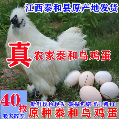江西正宗原种泰和乌鸡蛋白凤乌骨鸡蛋新鲜农家散养母鸡土鸡蛋包邮